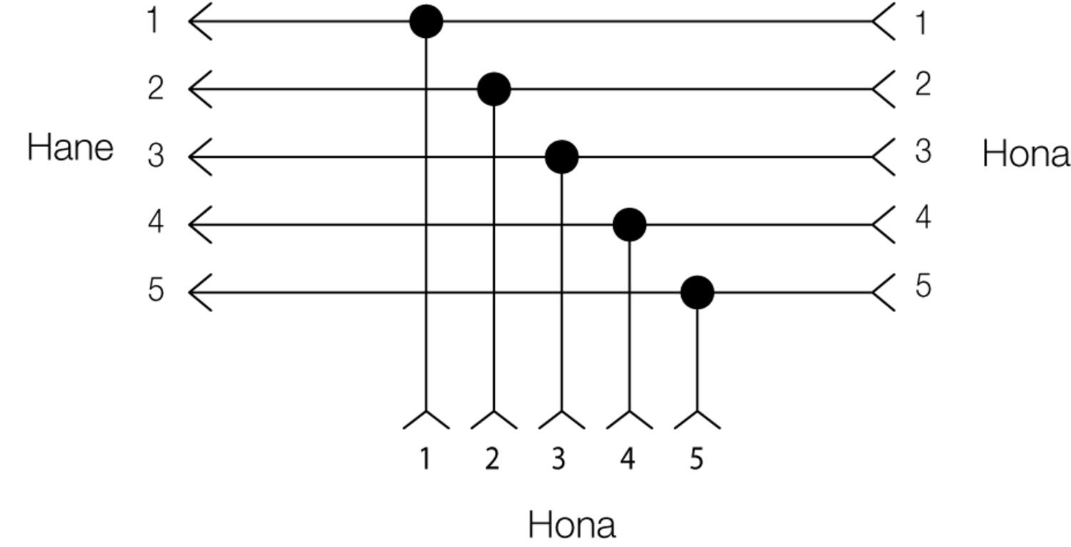 Branching electric, circuit diagram