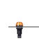 IxS_orange_black.tif