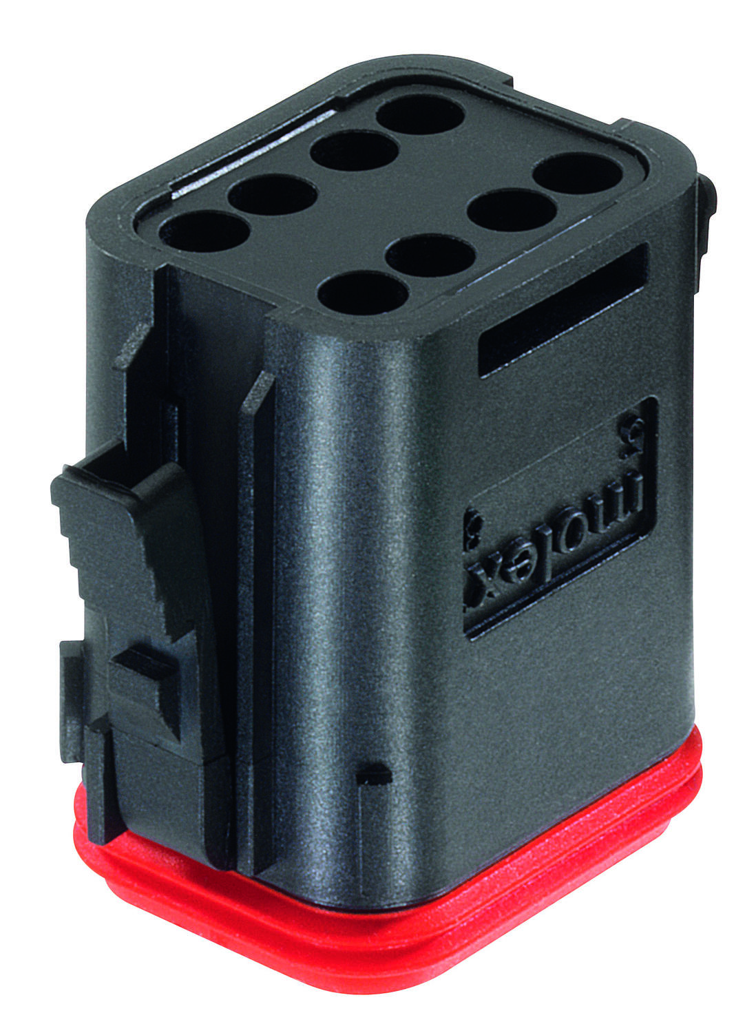 ML-XT 8 stehend-1.tif