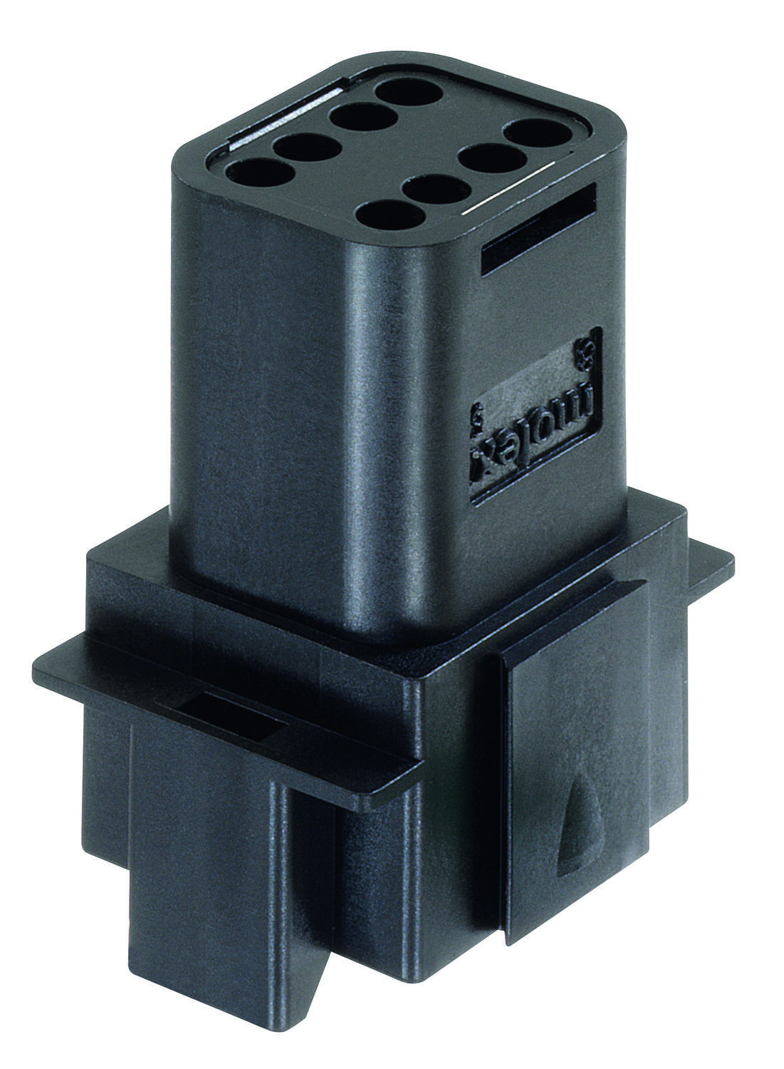 ML-XT 8 stehend-2.tif