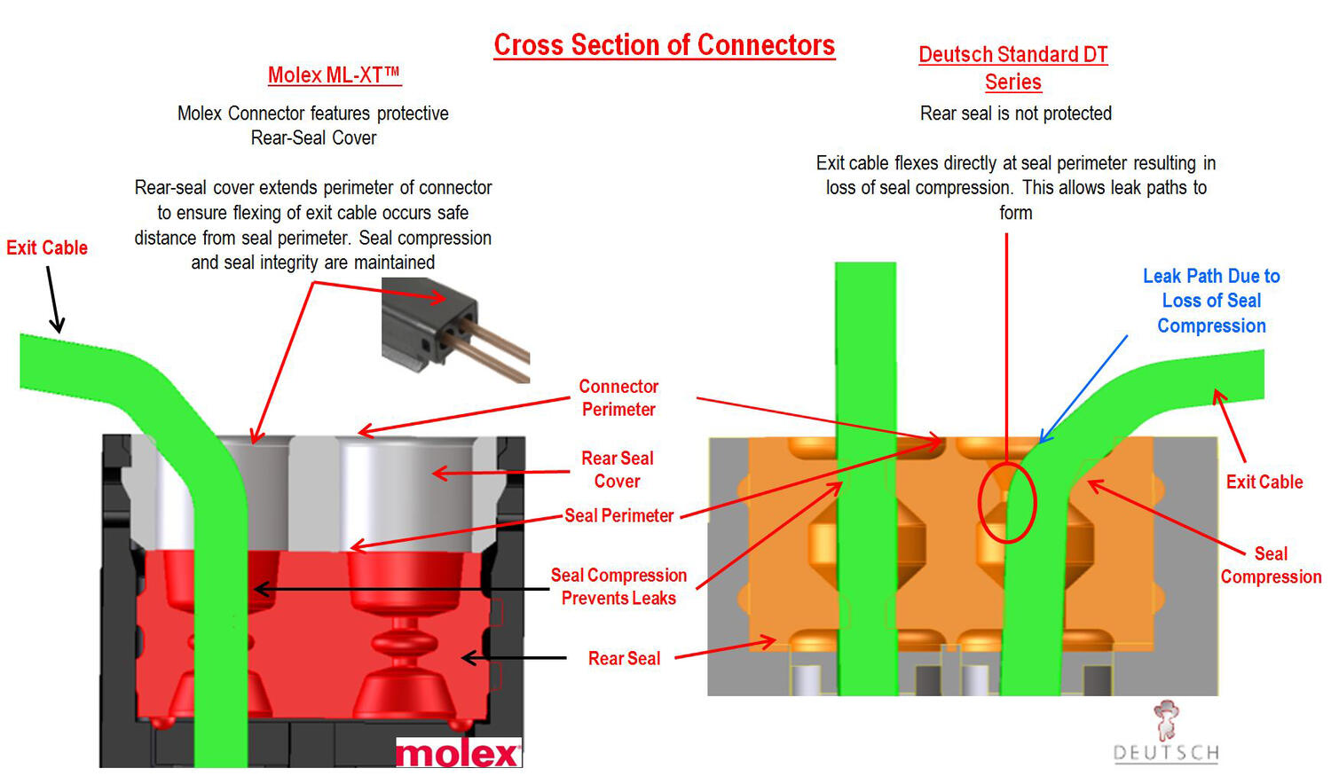 ml_xt_crosssectionofconnectors.tif